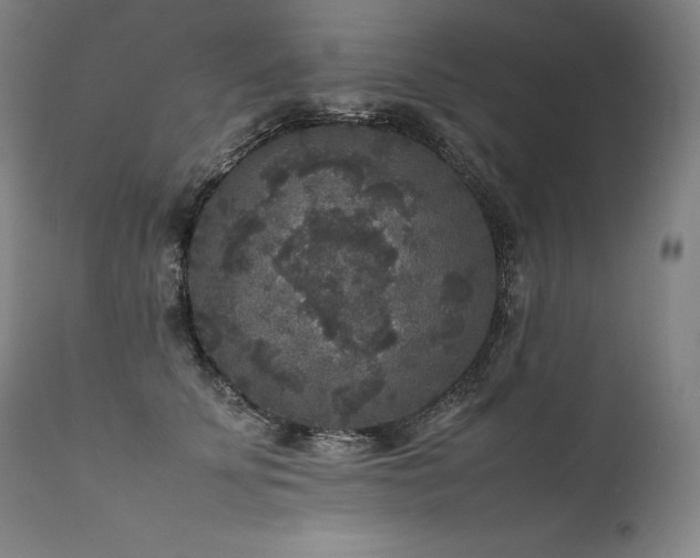 X0000111810707200907231234