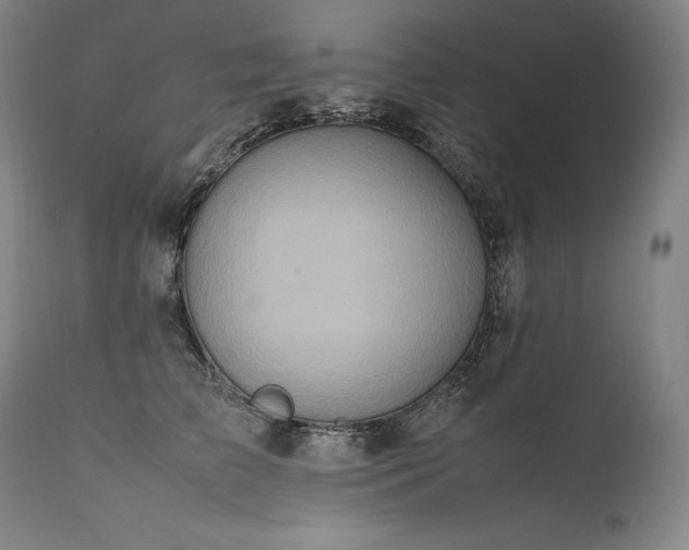 X0000111810709200907231234