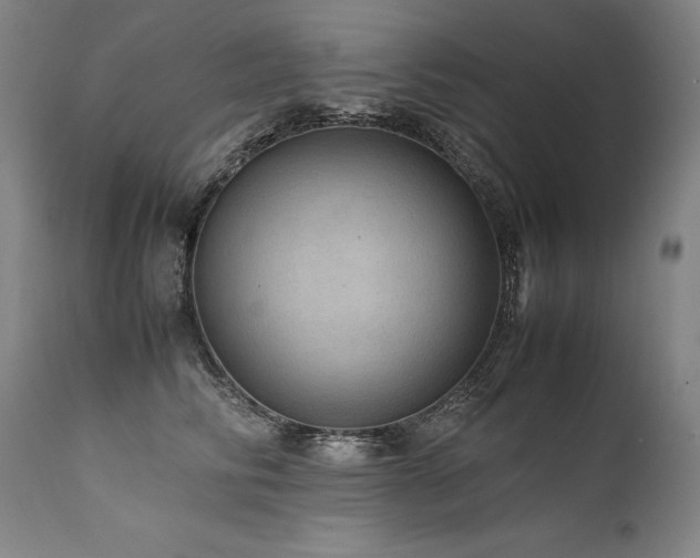 X0000111810710200907231234