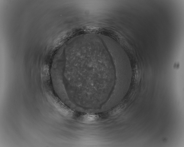 X0000111810711200907231234