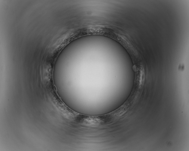 X0000111810712200907231234