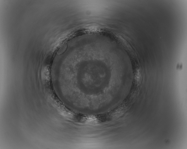 X0000111810715200907231234