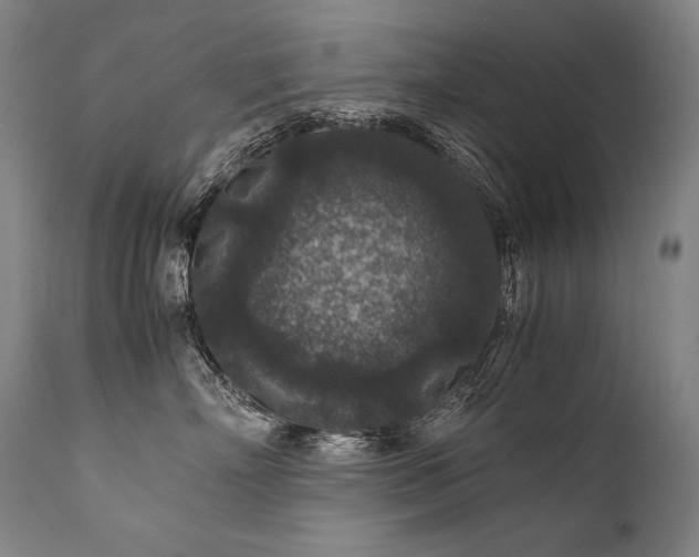 X0000111810718200907231234