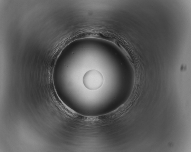 X0000111810720200907231234