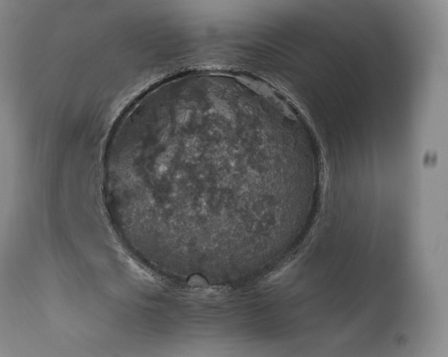 X0000111810721200907231233