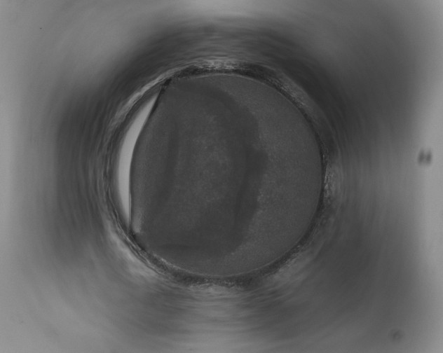 X0000111810722200907231233