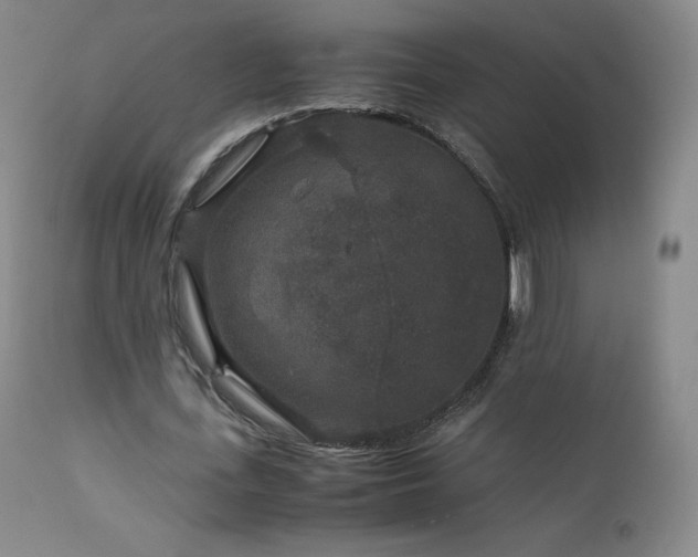 X0000111810723200907231233