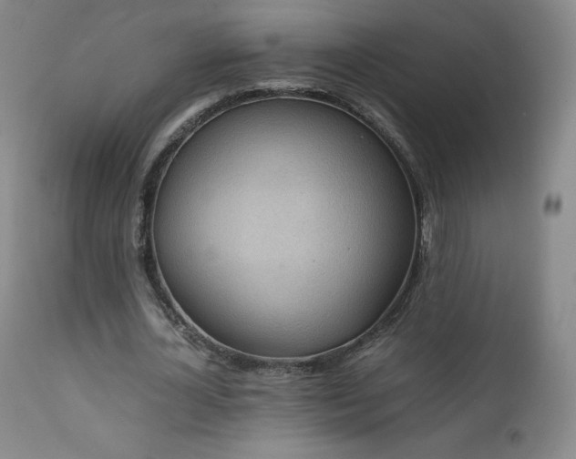 X0000111810724200907231233
