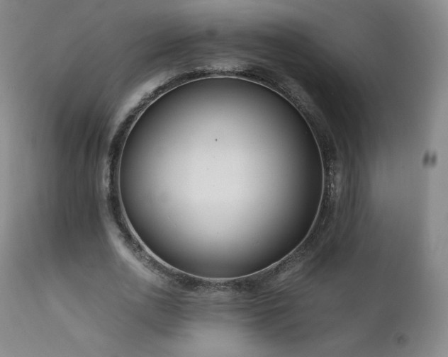 X0000111810726200907231233