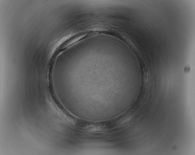 X0000111810727200907231233