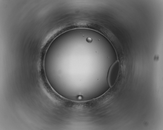 X0000111810728200907231234
