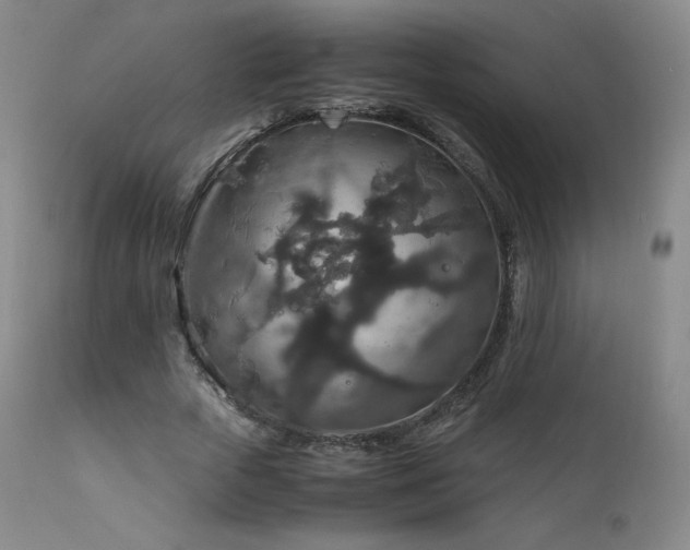 X0000111810729200907231234