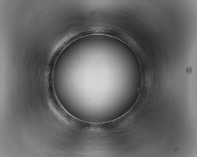 X0000111810730200907231234