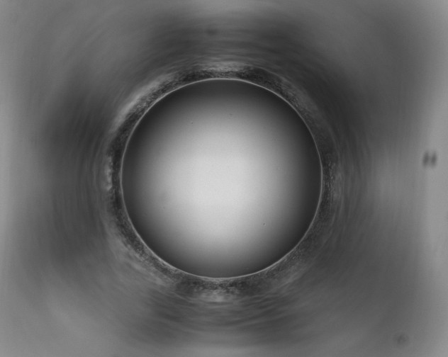 X0000111810731200907231234