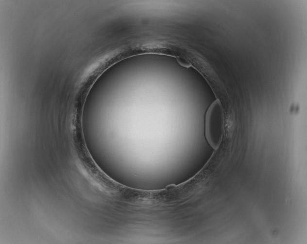 X0000111810732200907231234