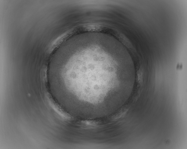 X0000111810733200907231234