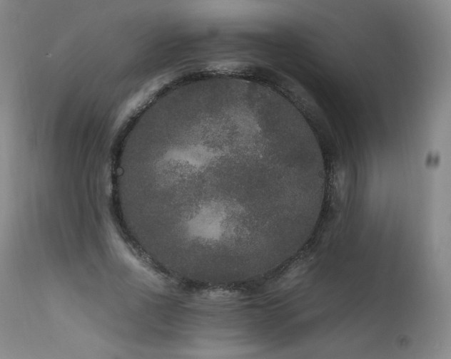 X0000111810734200907231234