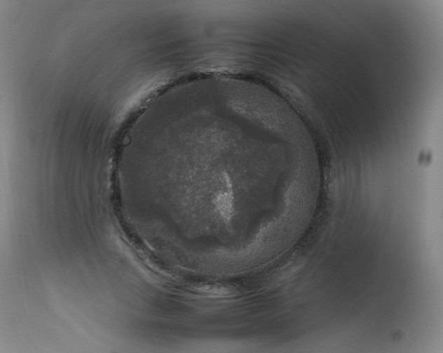 X0000111810735200907231234