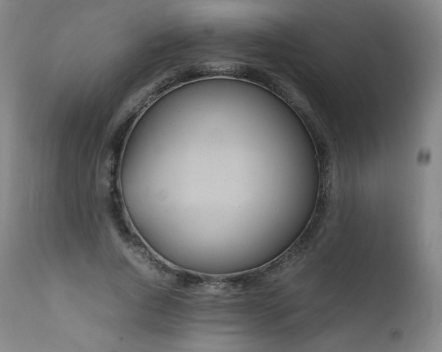 X0000111810736200907231234