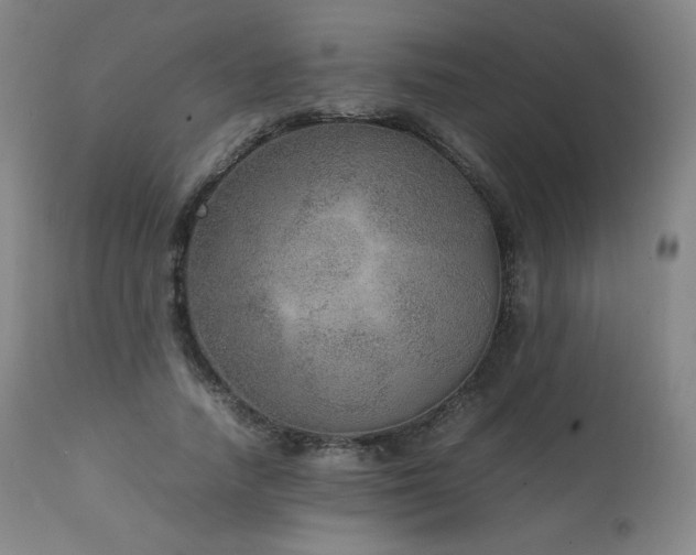 X0000111810738200907231234