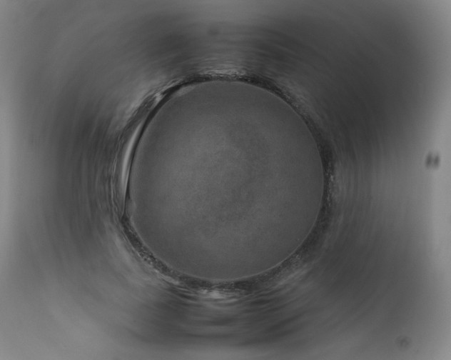 X0000111810739200907231234