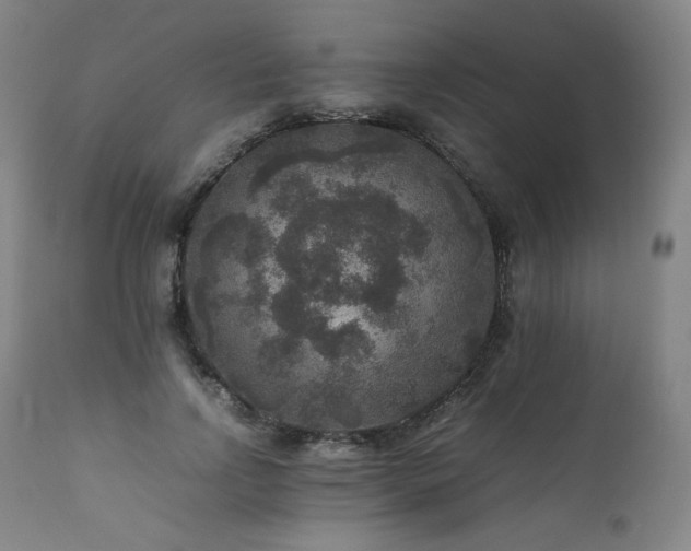 X0000111810742200907231234