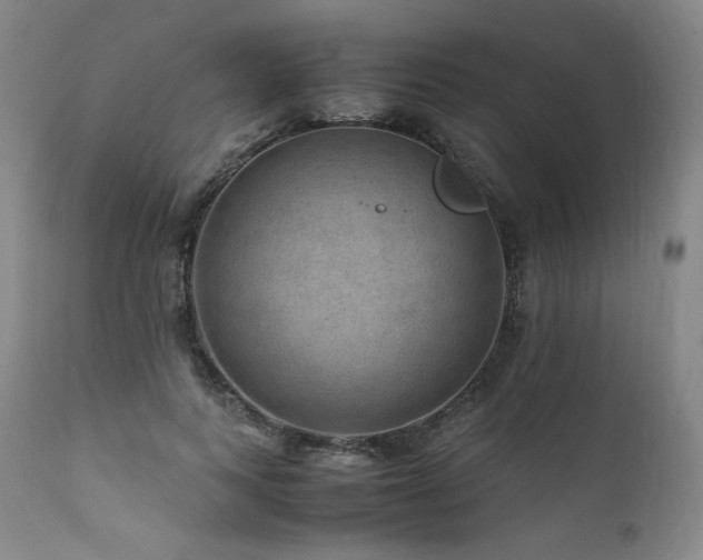 X0000111810743200907231234