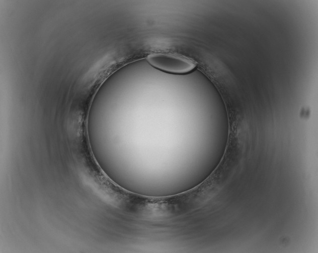 X0000111810744200907231234