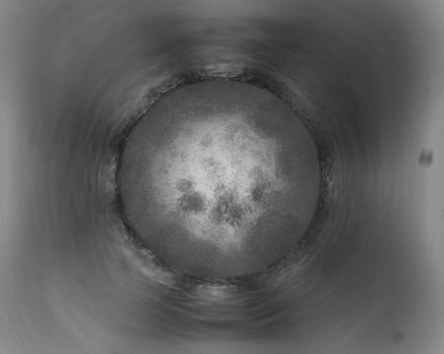 X0000111810745200907231234