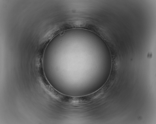 X0000111810746200907231234