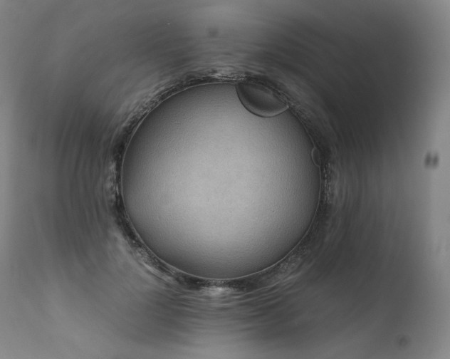 X0000111810748200907231234