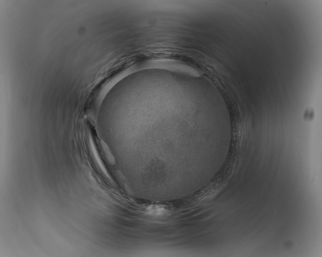 X0000111810751200907231234