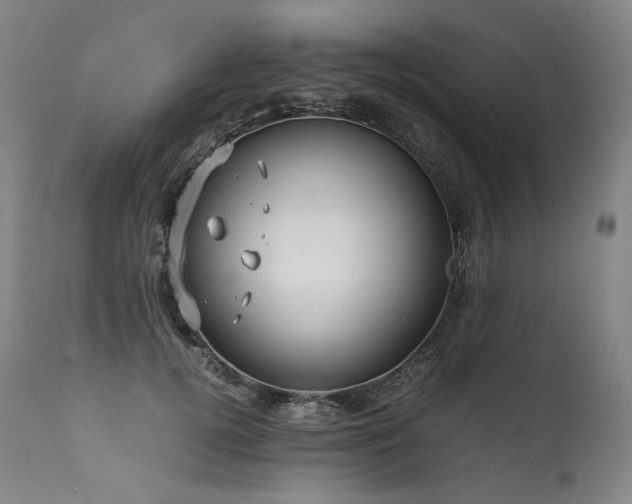 X0000111810752200907231234