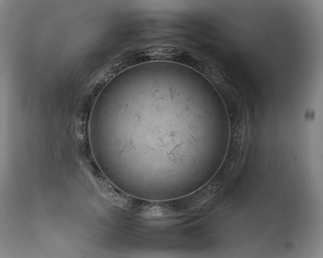 X0000111810755200907231234