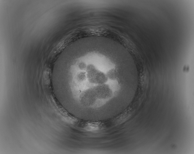 X0000111810757200907231234