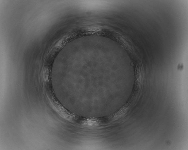 X0000111810758200907231234