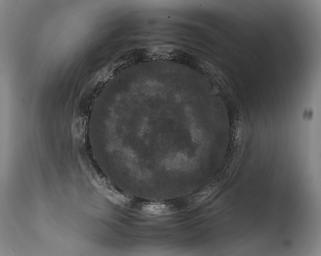 X0000111810759200907231234