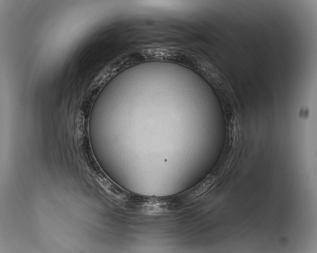 X0000111810760200907231234