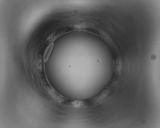 X0000111810762200907231234