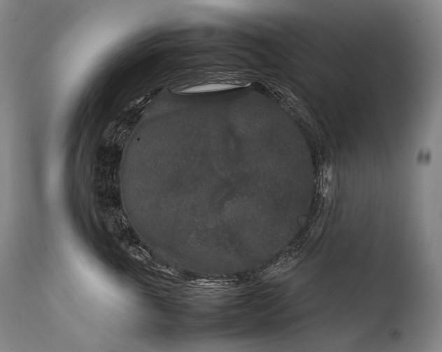 X0000111810763200907231234