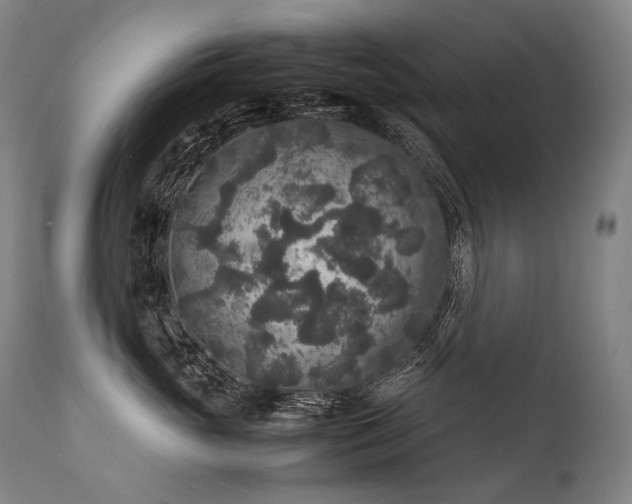 X0000111810765200907231234