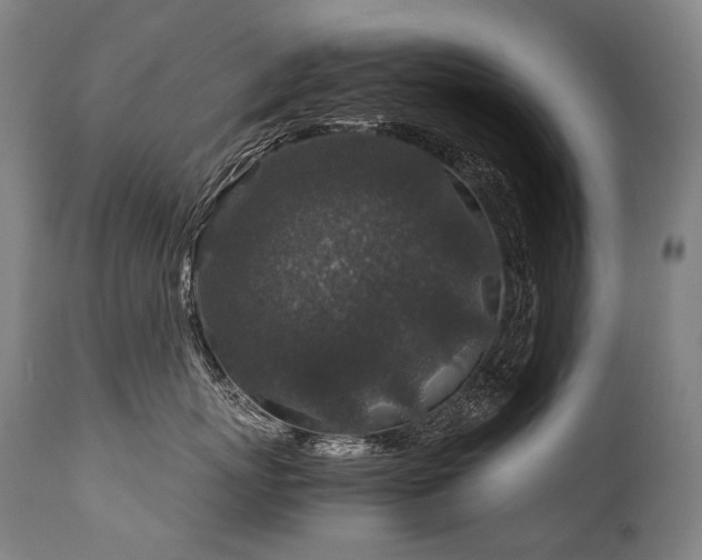 X0000111810767200907231234