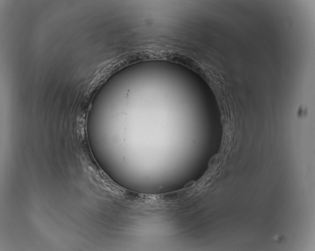 X0000111810768200907231234