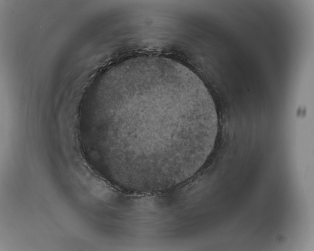 X0000111810769200907231233