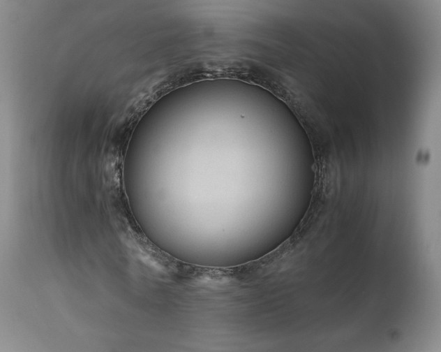 X0000111810770200907231233