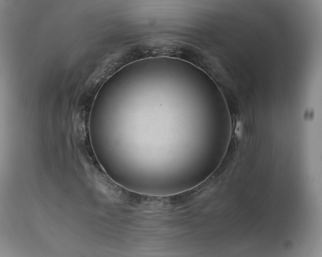 X0000111810771200907231233