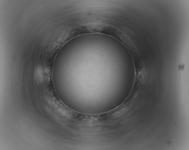 X0000111810772200907231233