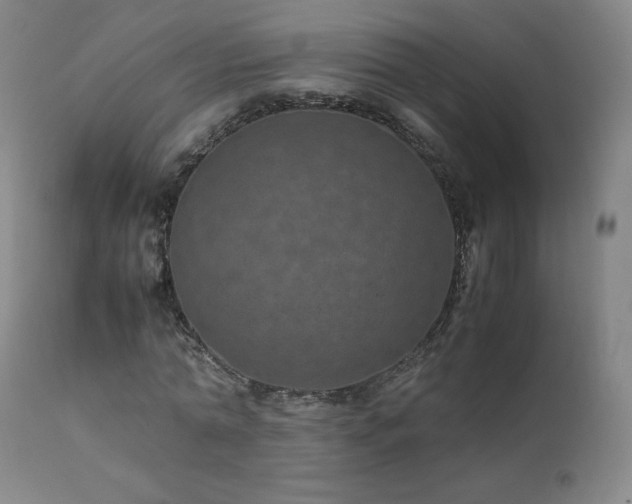 X0000111810774200907231233