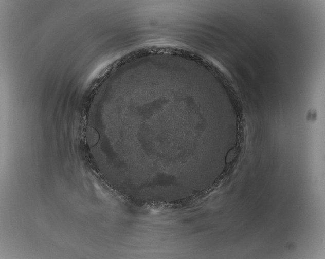X0000111810775200907231233