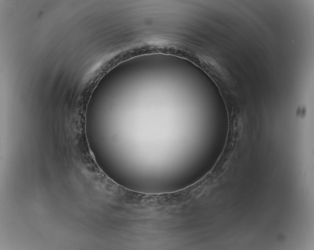 X0000111810776200907231233